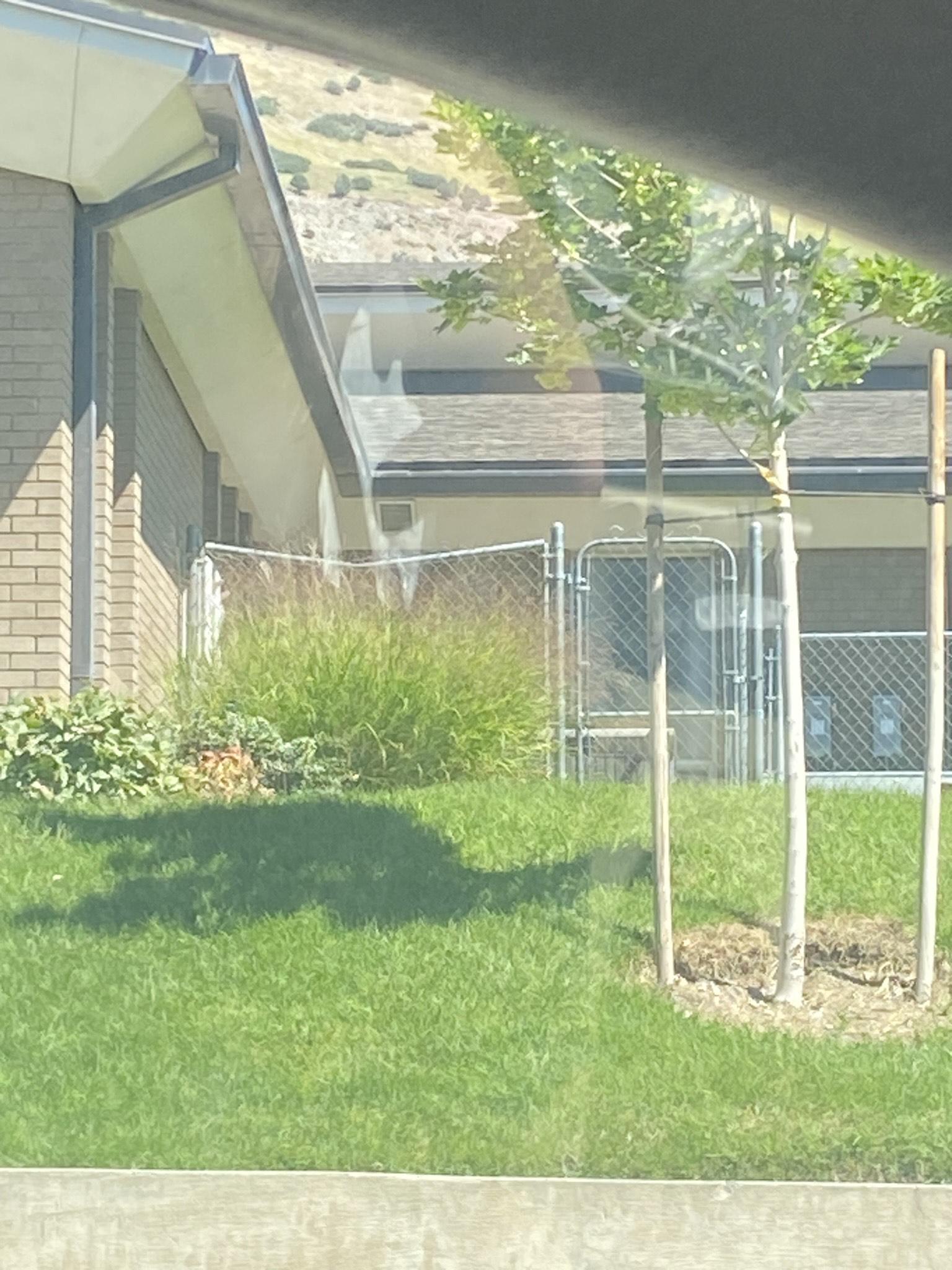 Fence