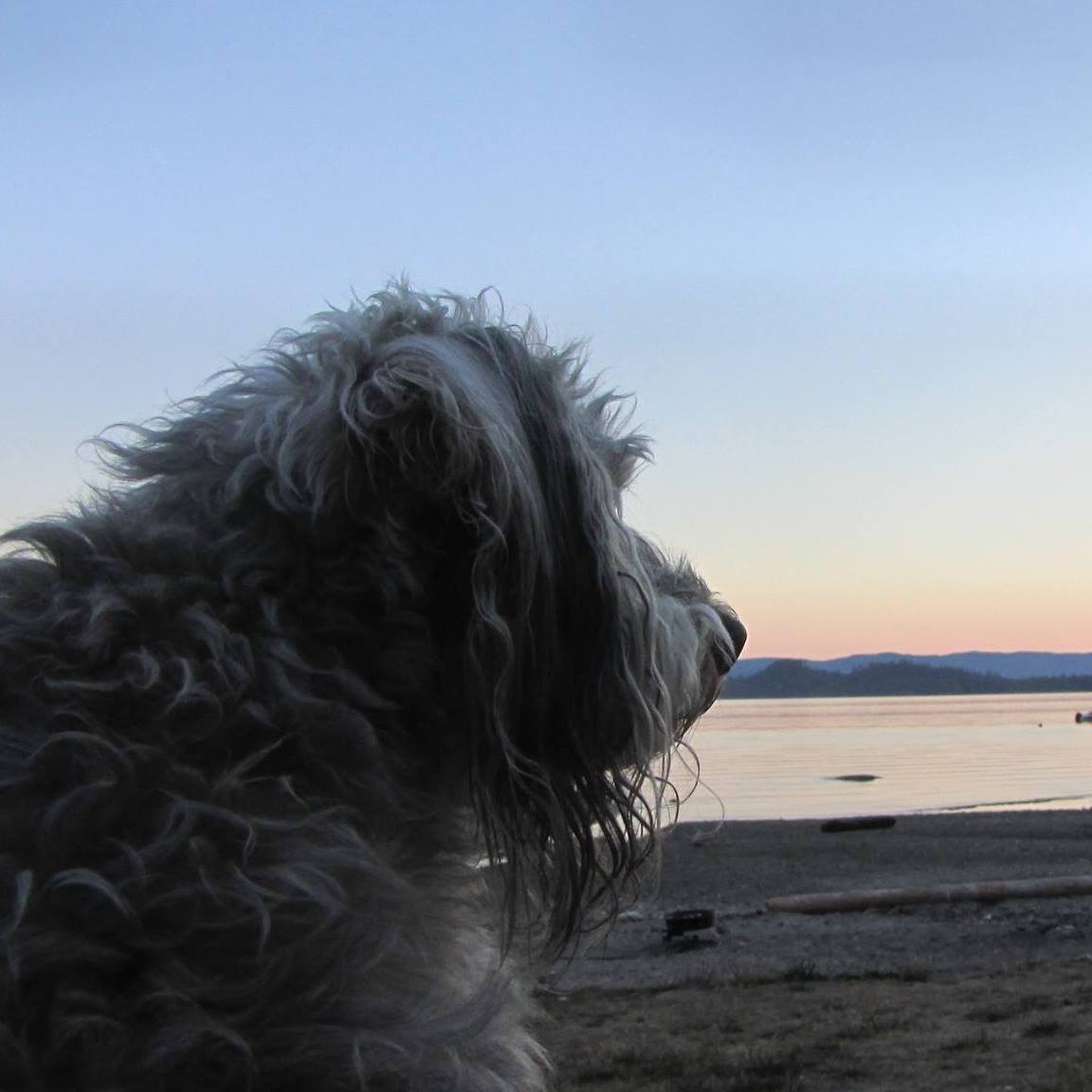 Picture of CaraLynn Morris