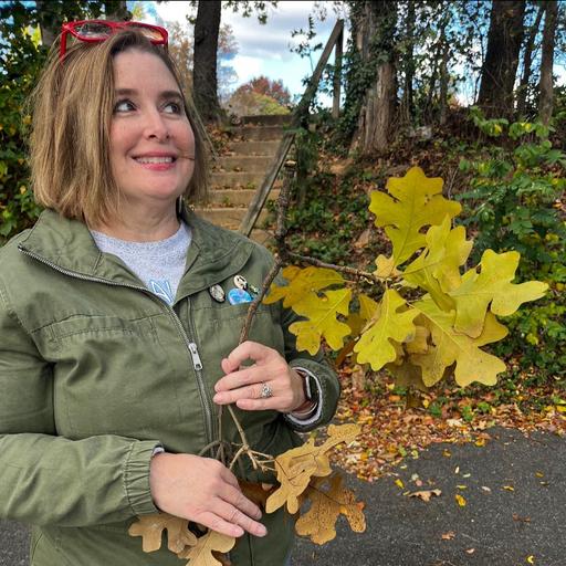 User profile photo