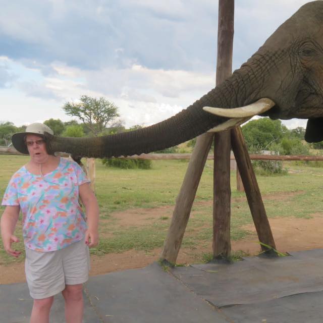 Picture of Julie howard Hinrzman