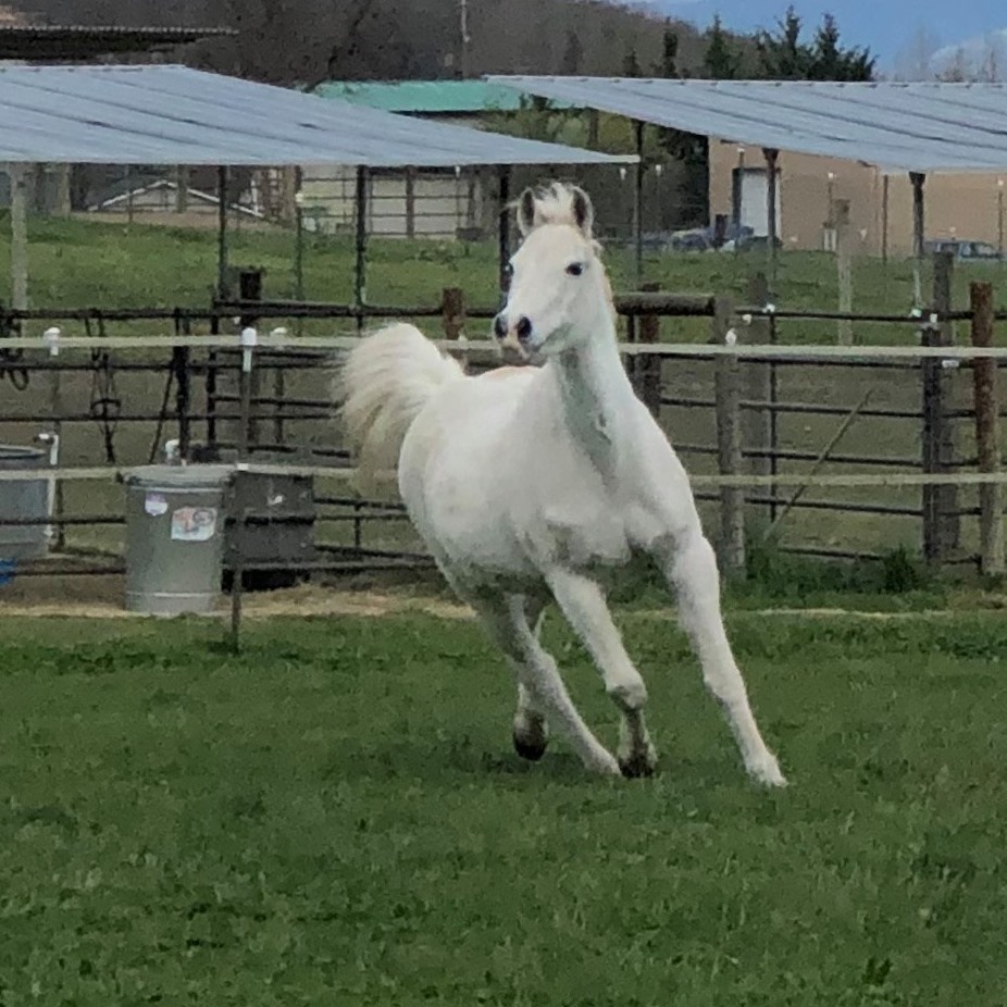 Picture of Janet Reed