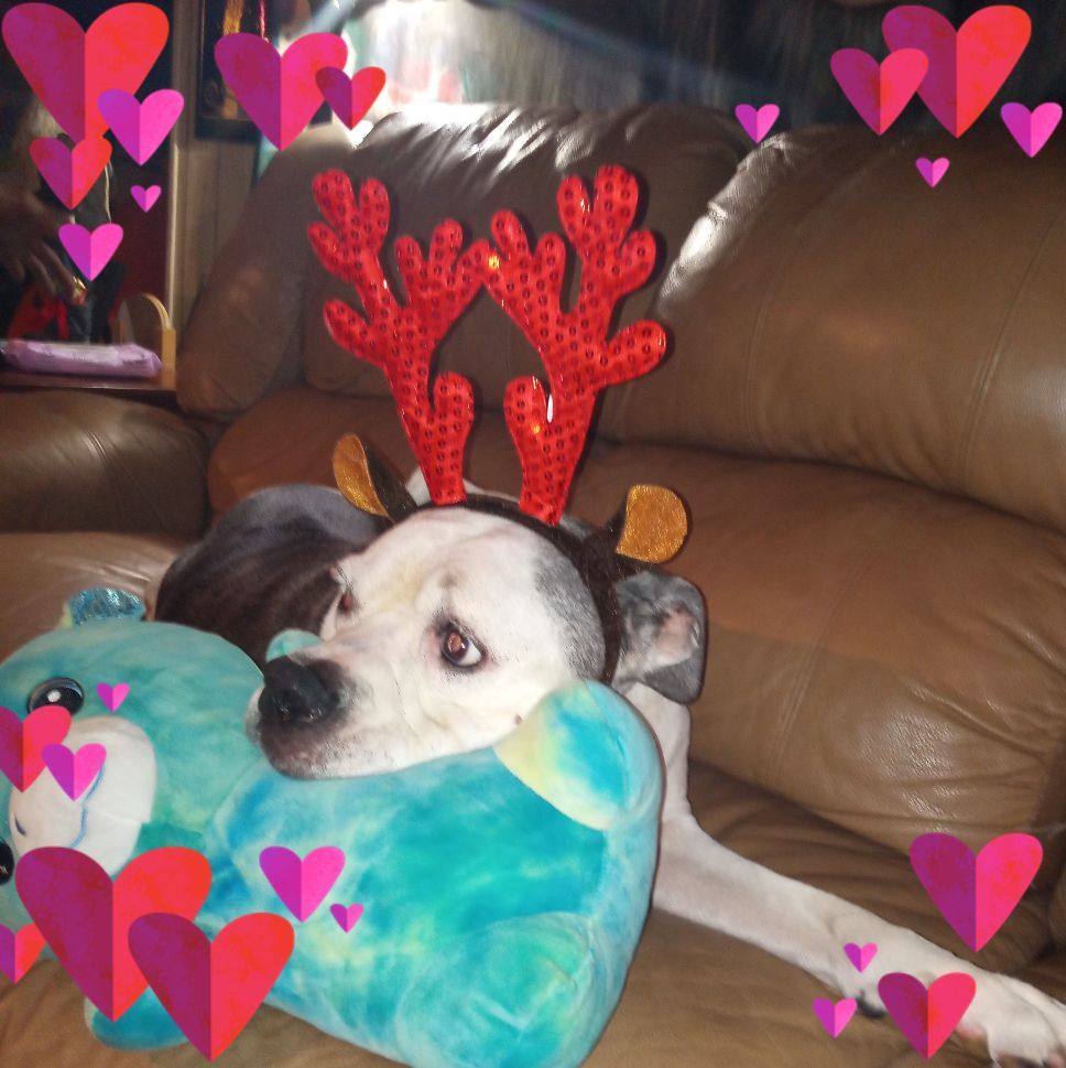 Picture of Merrie Horowitz