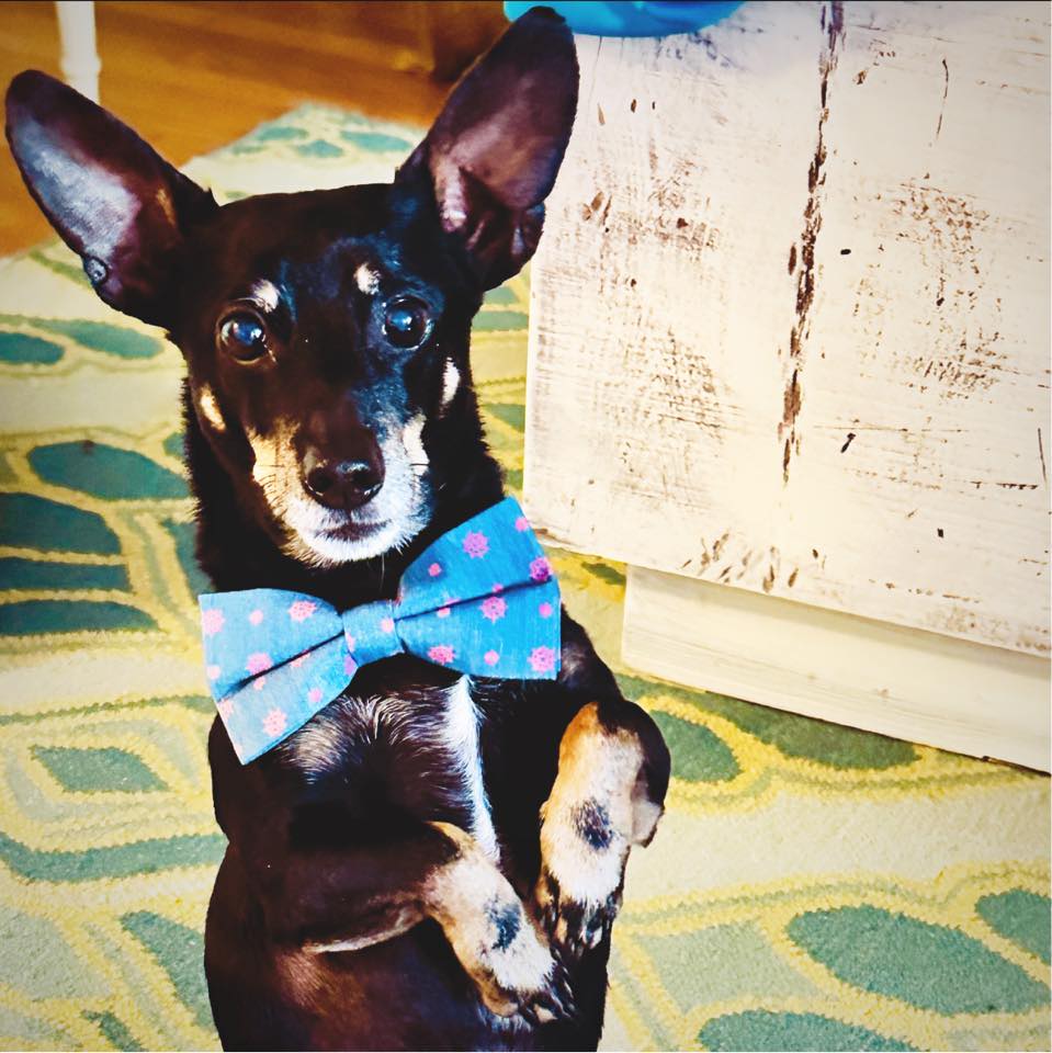 Picture of Jacqueline Batista