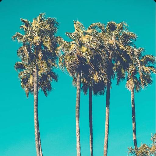 User profile photo