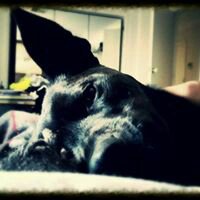 Picture of Jason D'Silva