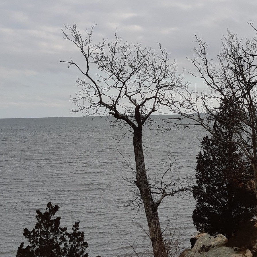 Picture of Carolyn Battista