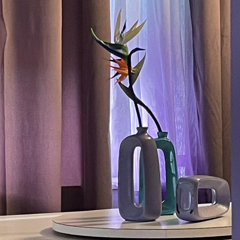 Picture of SHERRY MILLER