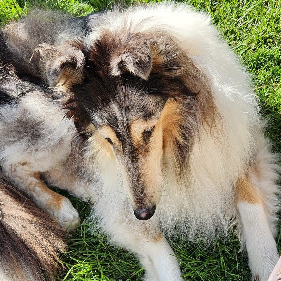 Picture of Christine Joy