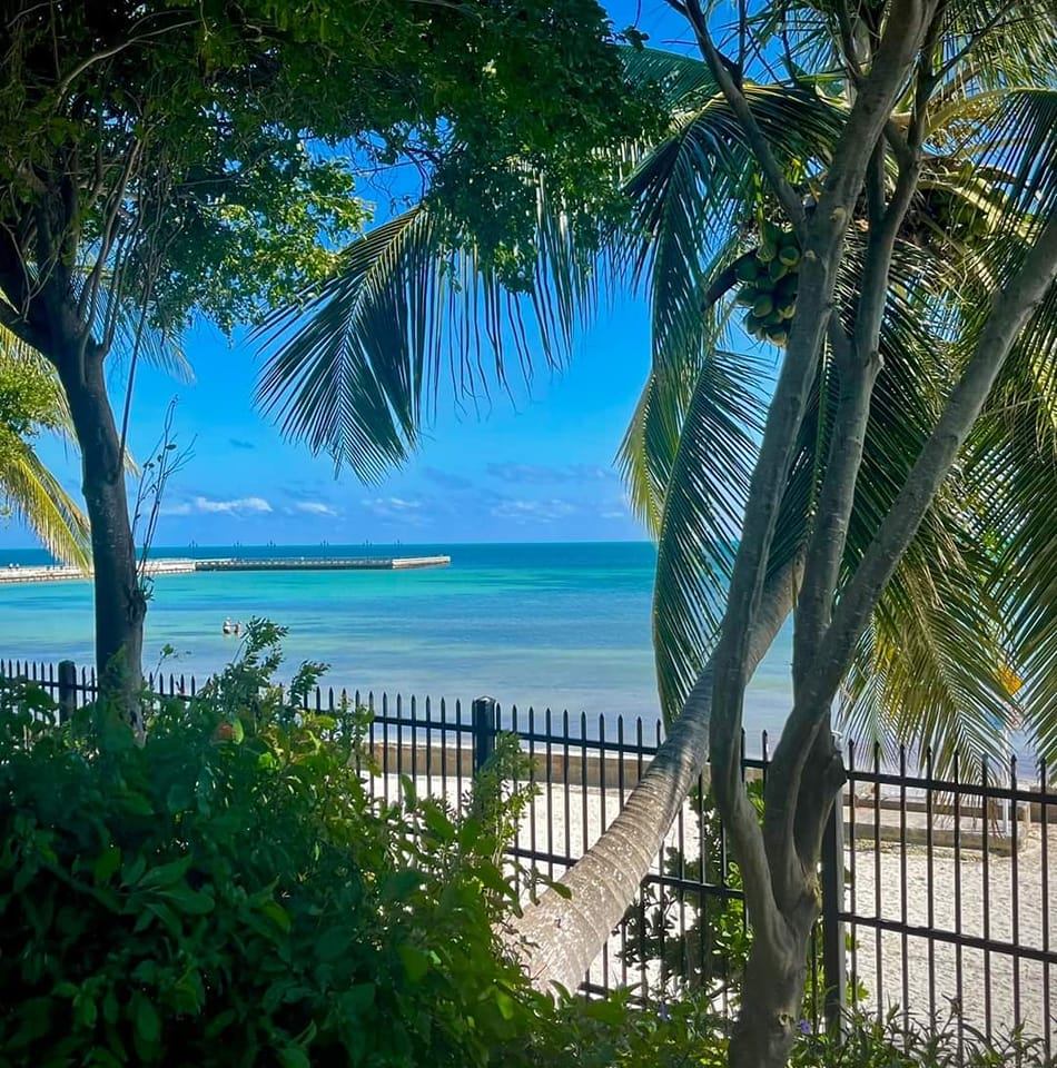 Picture of Mary Deaton