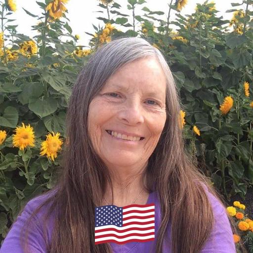 User profile photo