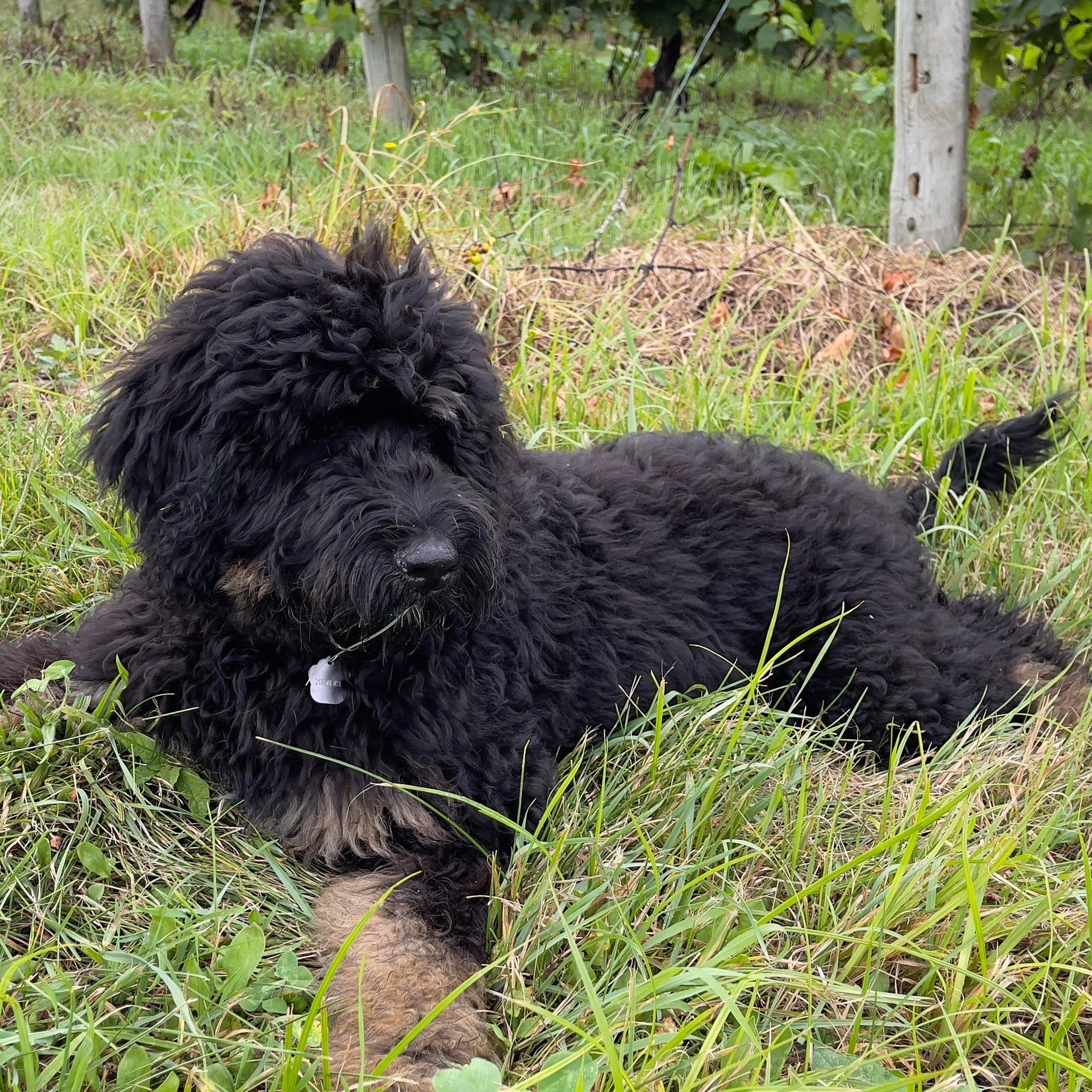 Picture of Jennifer Cummings