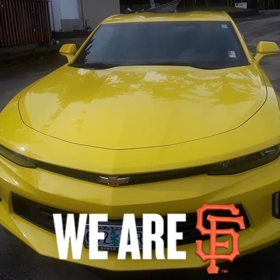 Picture of Pamela Tonnemacher