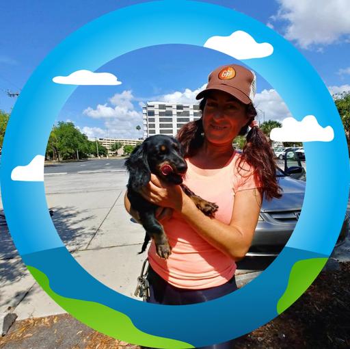 User profile photo