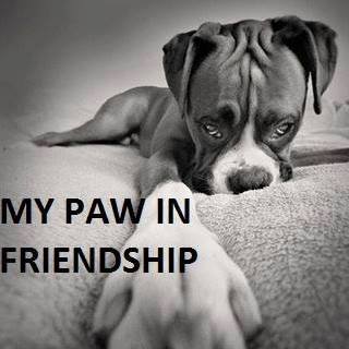 Picture of Debbie Novak