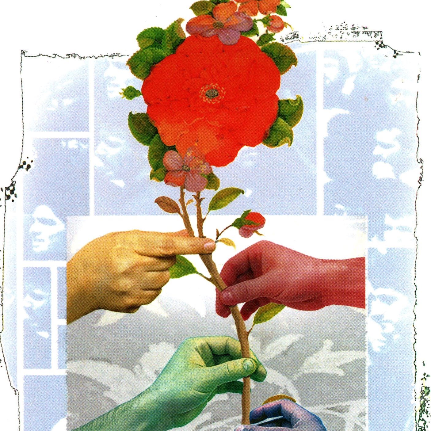 Picture of Shokooh Behran