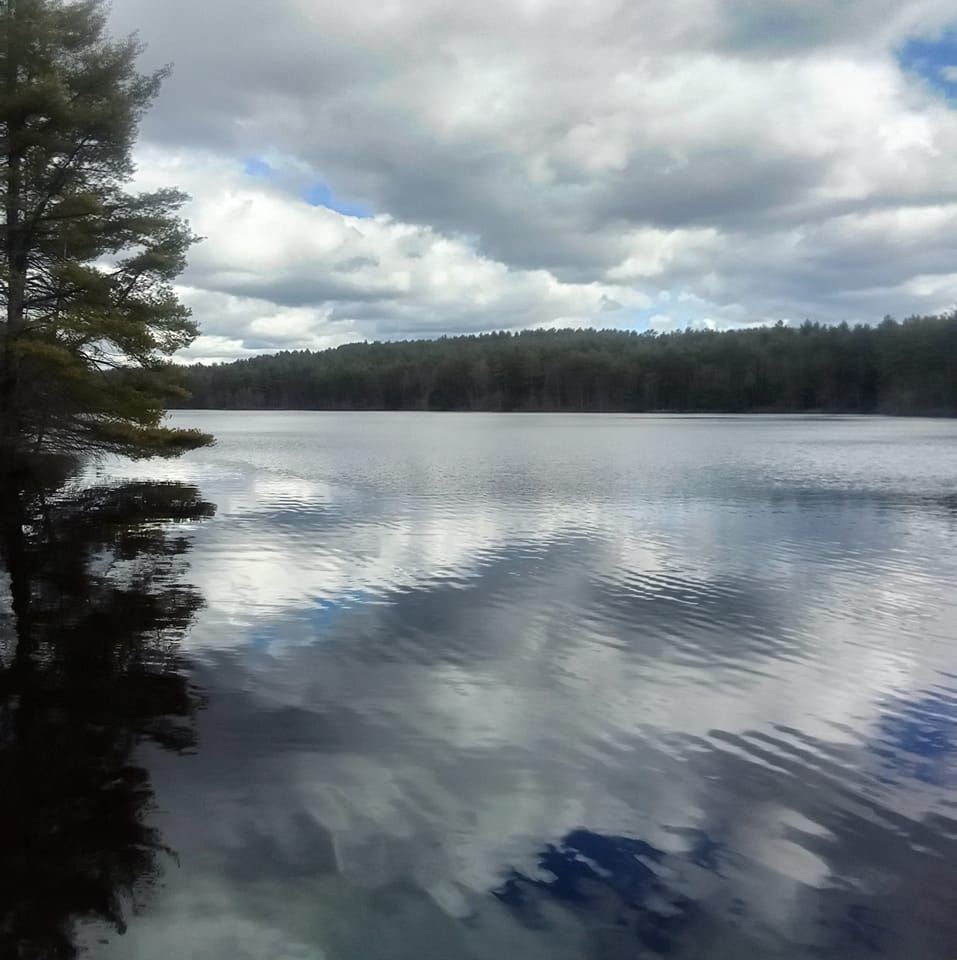 Picture of Marcia Smith-Arsenault