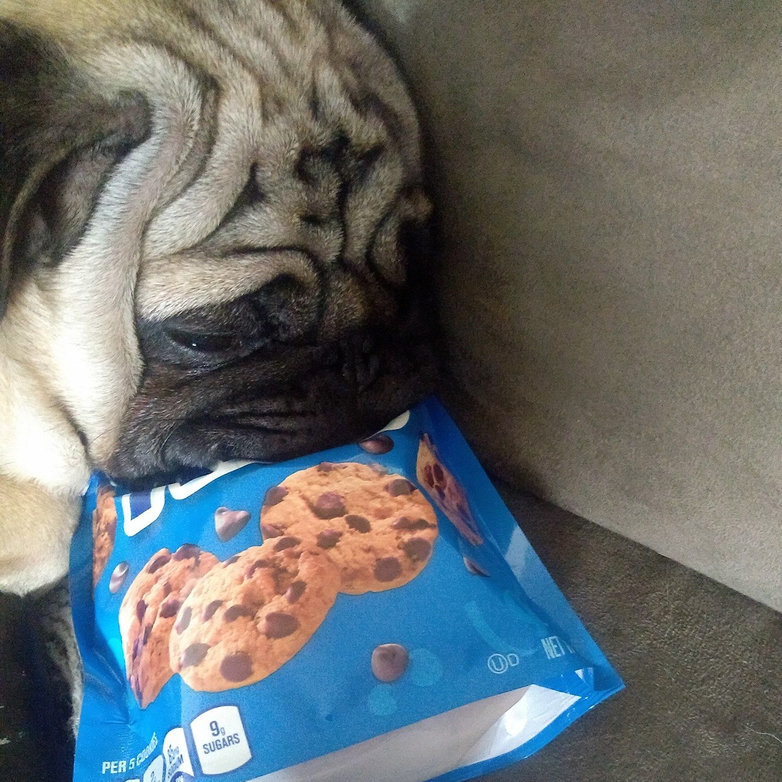 Picture of Eric Jones