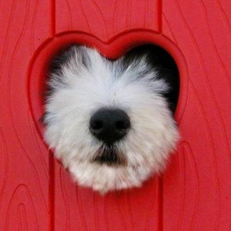 Picture of Candace Naumowicz - Zacher