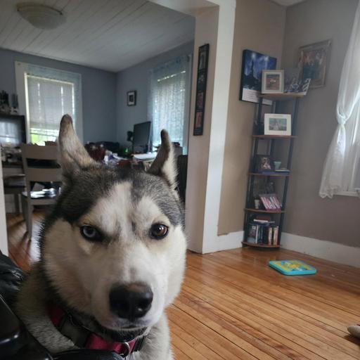 User profile photo