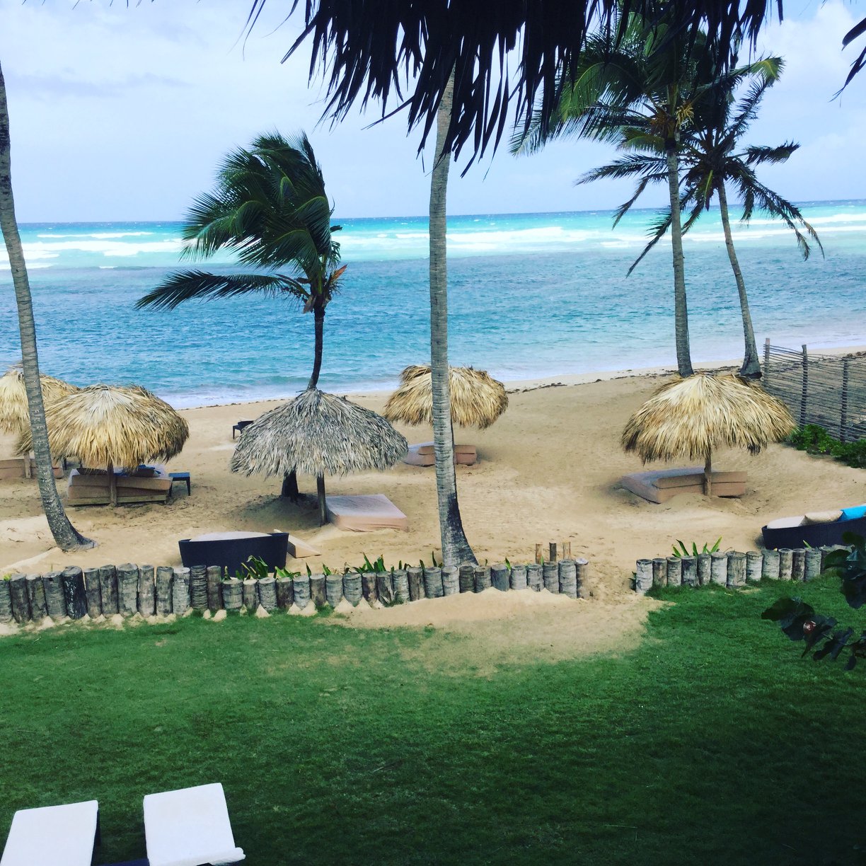 Picture of Terri Serino