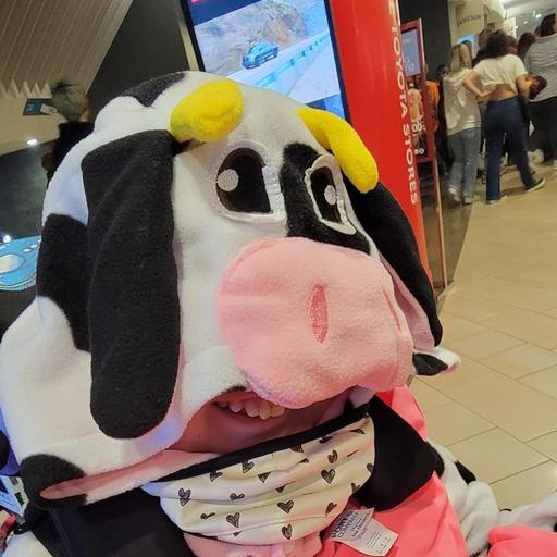User profile photo