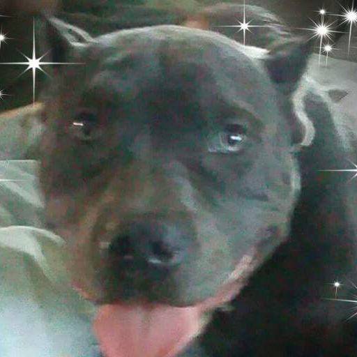 Picture of Angel Wilson