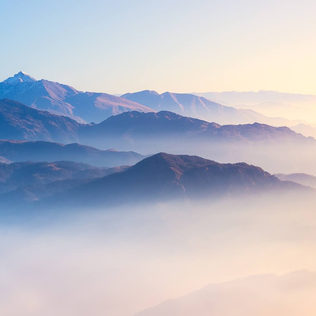 Picture of Misty Woods