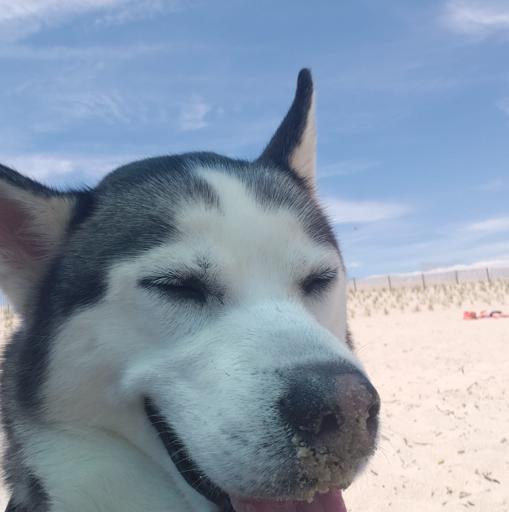 User profile photo