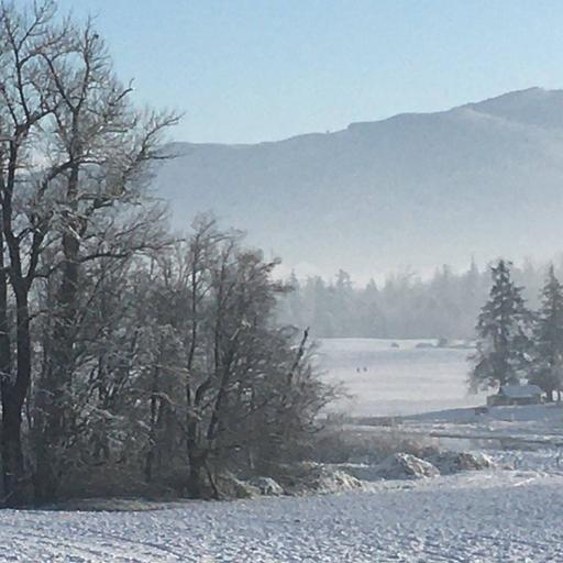 user profile icon inside a circle