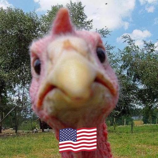 User profile photo