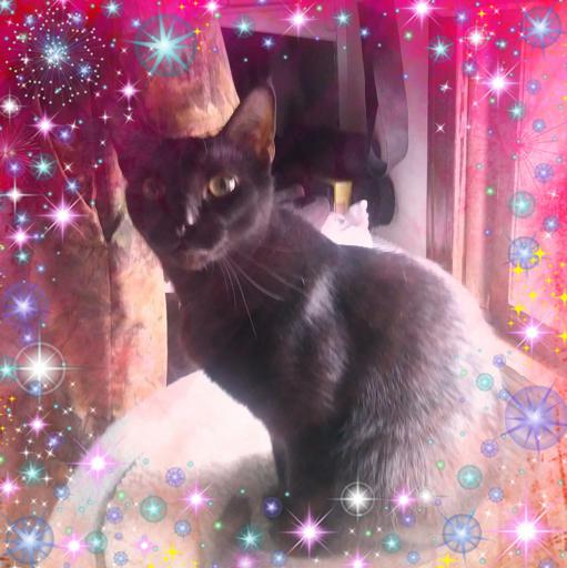 User profile photo