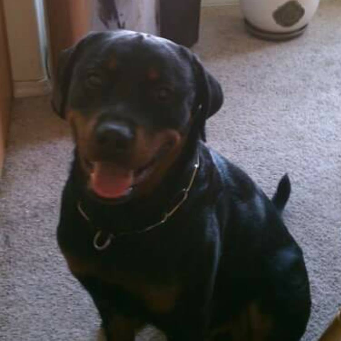 Picture of Linda Finch