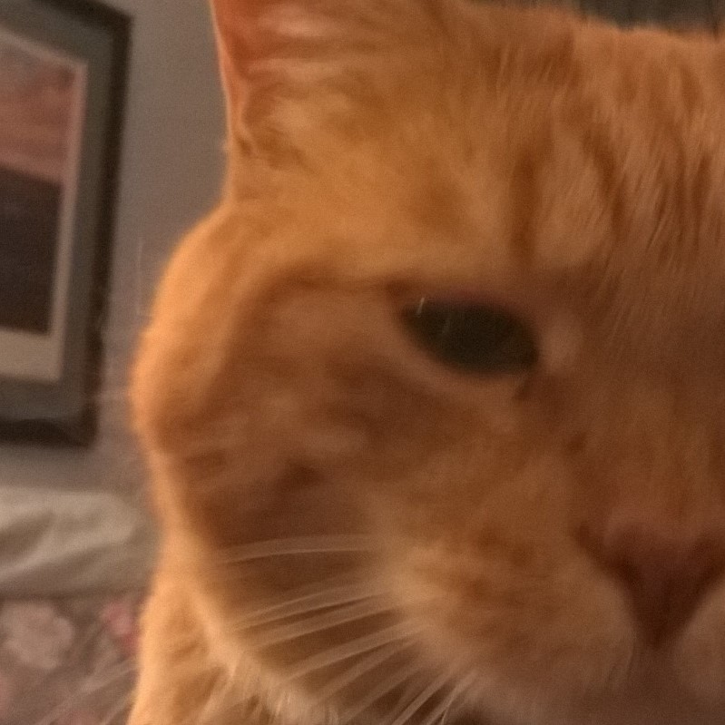 Picture of Margie Simonsen