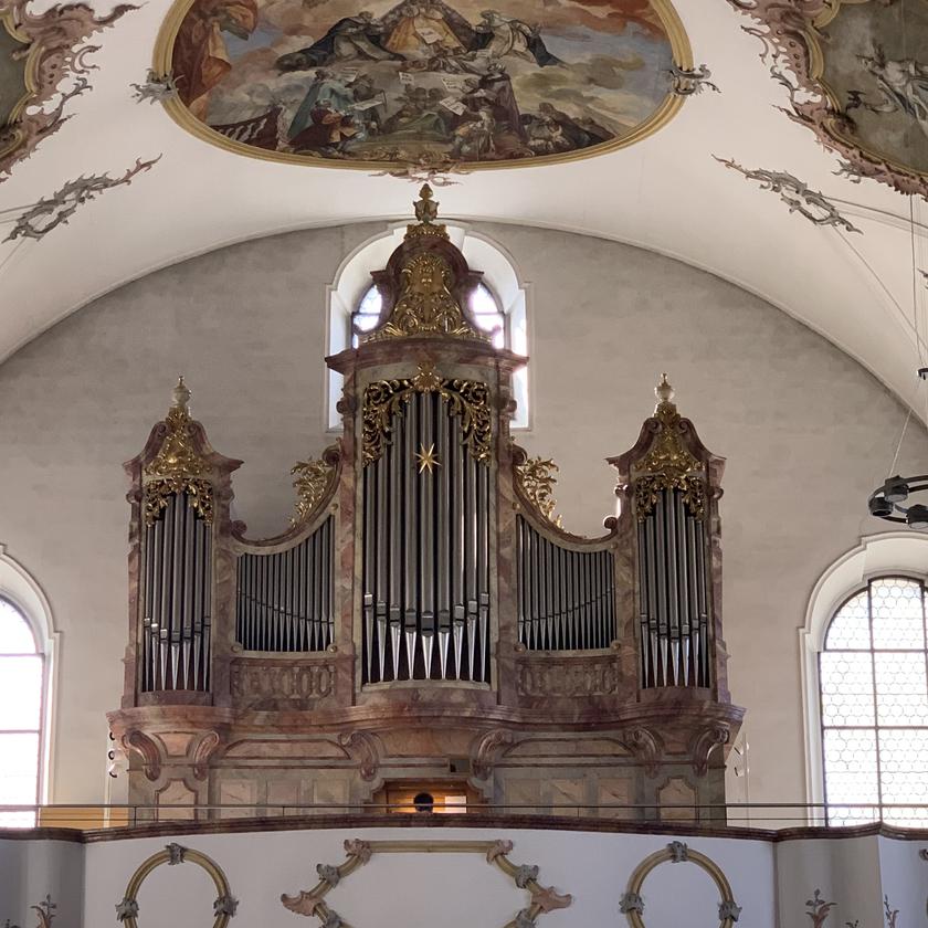 Picture of Gisela Ulmschneider