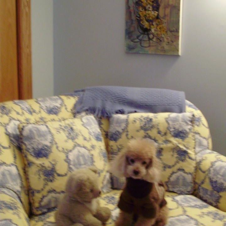 Picture of Bettye Myer