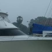 Picture of Kurien Manavalan