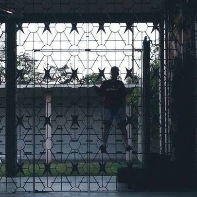 Picture of Lynette Robertson