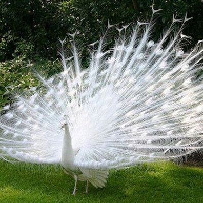 Picture of Joan Engvik