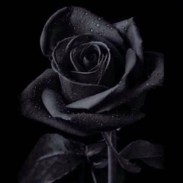 Picture of Jinky Rebugio