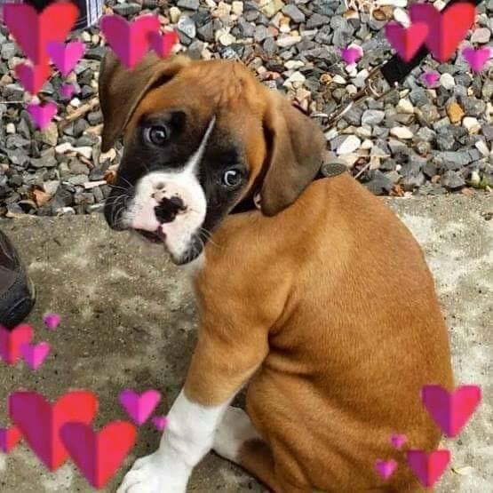 Picture of Barbara Bordell