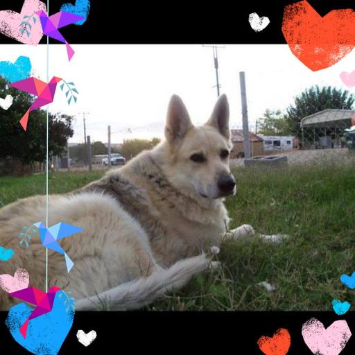 User profile photo