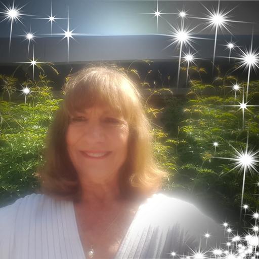 User profile photo
