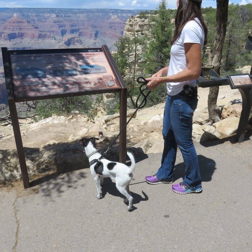 Picture of Shannon Hanna