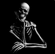 Picture of Jona Joyce