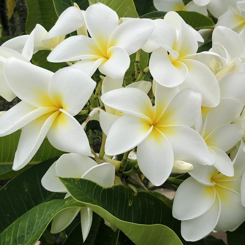 Picture of Kim Oride