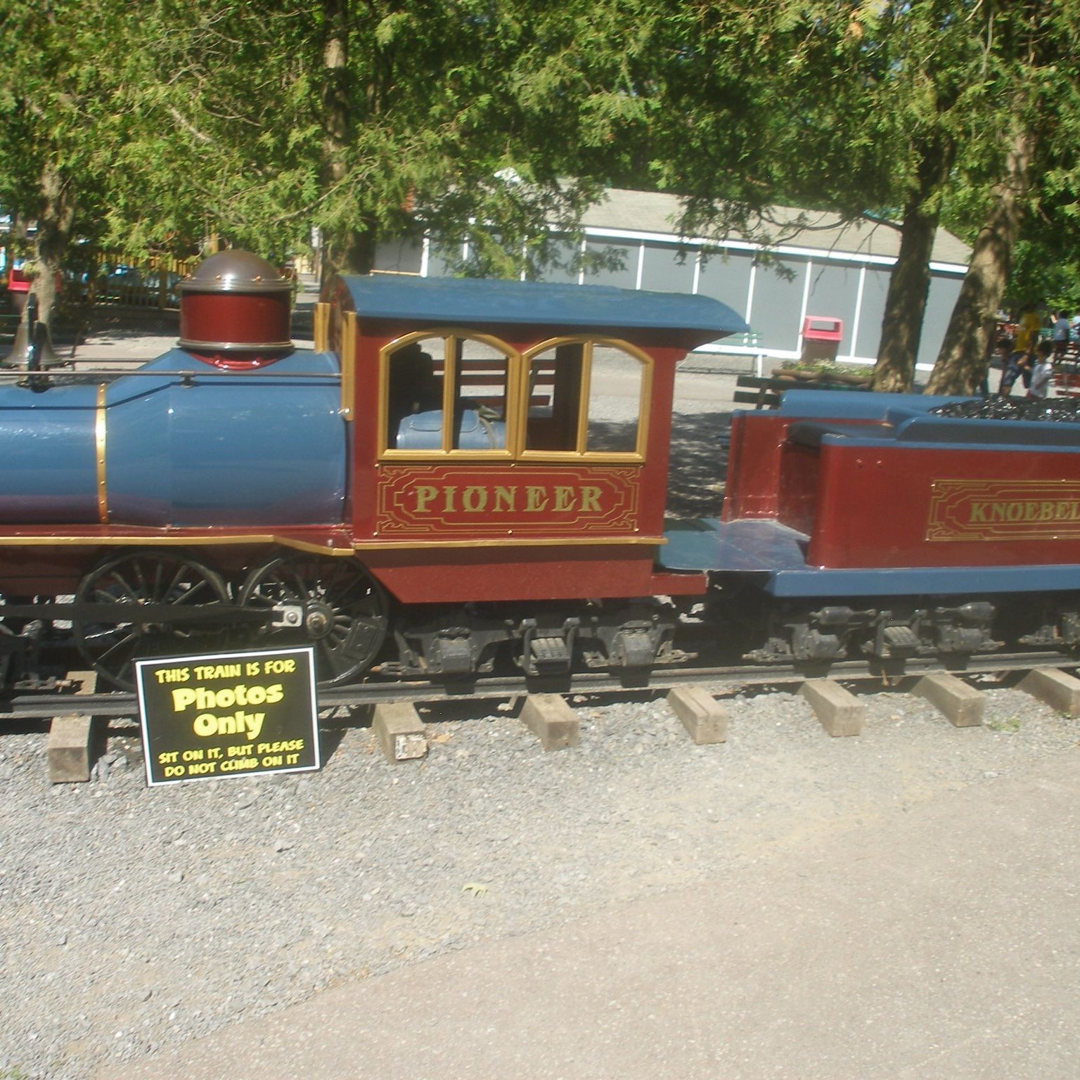 Picture of Thomas Hassell