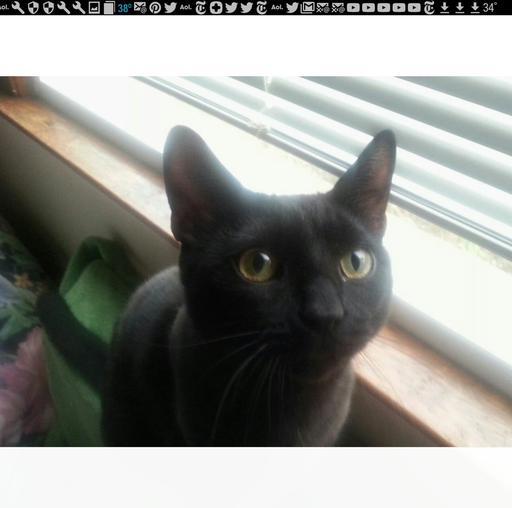 User profile photo