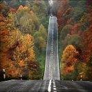 Picture of Roseann Guinan