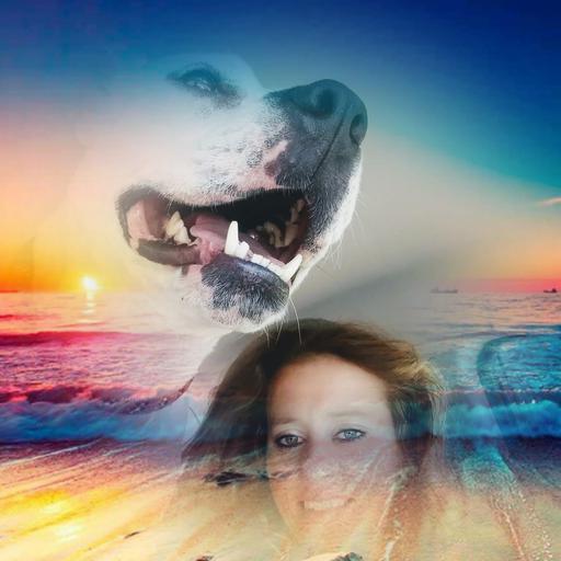 User profile photo