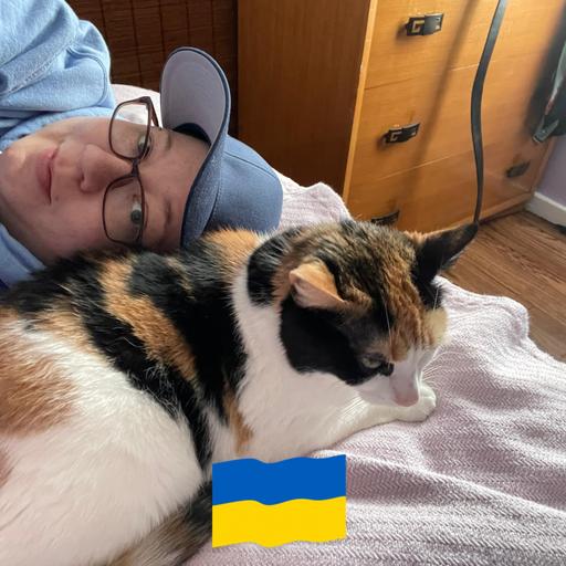 User profile photo